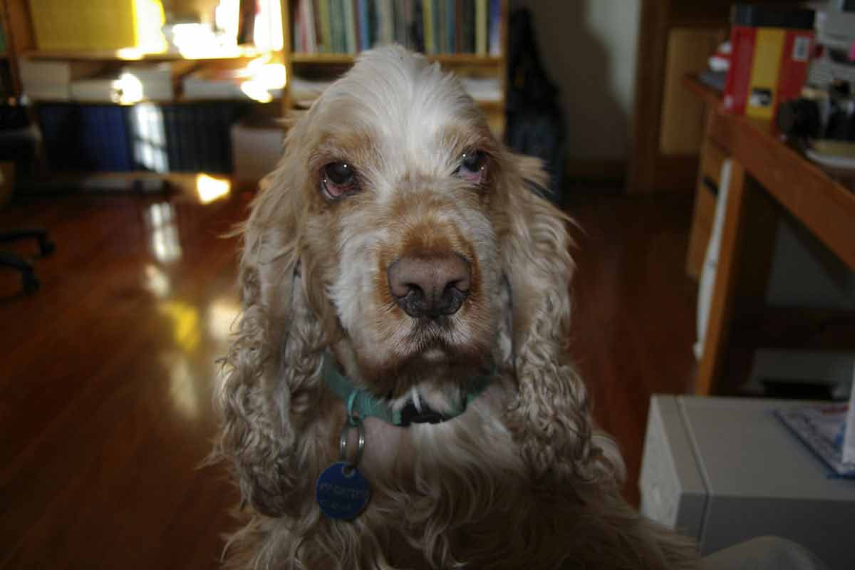 Annie