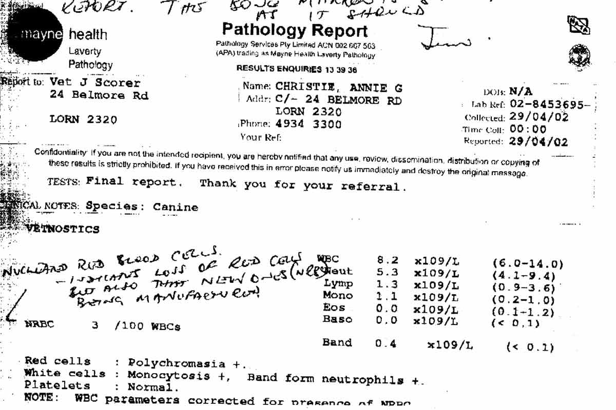 Lab Results